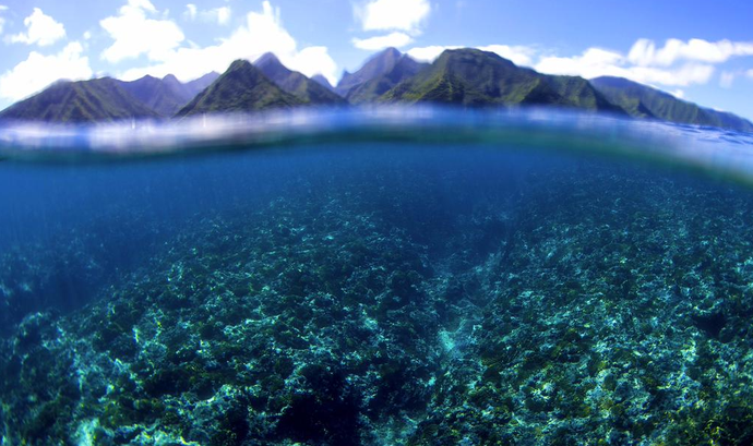 Espera por boas ondas na etapa do Taiti chega ao quarto dia (Foto: Reprodução/WSL)