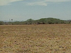 Imagem da seca na Paraíba (Foto: Reprodução/TV Cabo Branco)