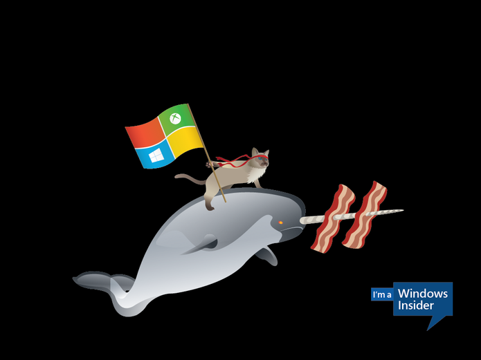Ninjacar e a baleia (Foto: Reprodução/Microsoft) Ninjacar e a baleia (Foto: Reprodução/Microsoft)