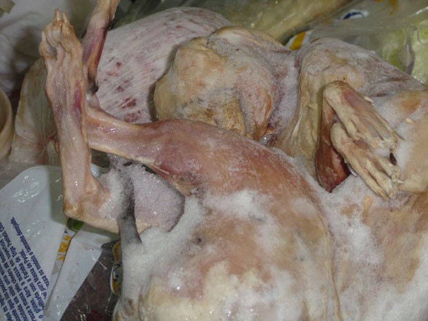 Animais foram encontrados congelados nos fundos da pastelaria (Foto: Divulgação / MPT)