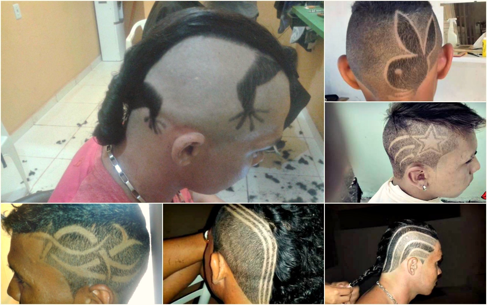 De 'Pica-pau' a iguana, cabeleireiro de 21 anos faz cortes ousados no AC -  Ecos da Noticia
