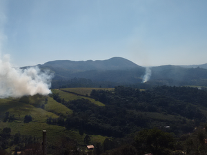 Incêndio atinge área verde, em São Roque (Foto: Cintia Hergesel/ TEM Você)