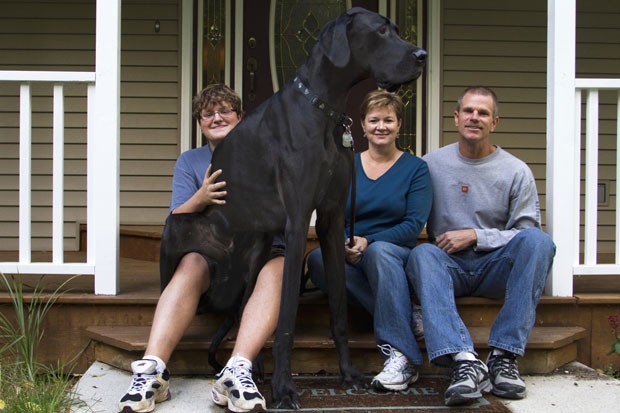 Cão pertence ao casal americano Denise e Kevin Doorlag. (Foto: Josh Mauser/Kalamazoo Gazette/AP)