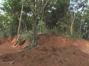 Área de preservação ambiental foi desmatada durante carnaval em Salvador (Foto: Reprodução/TV Bahia)