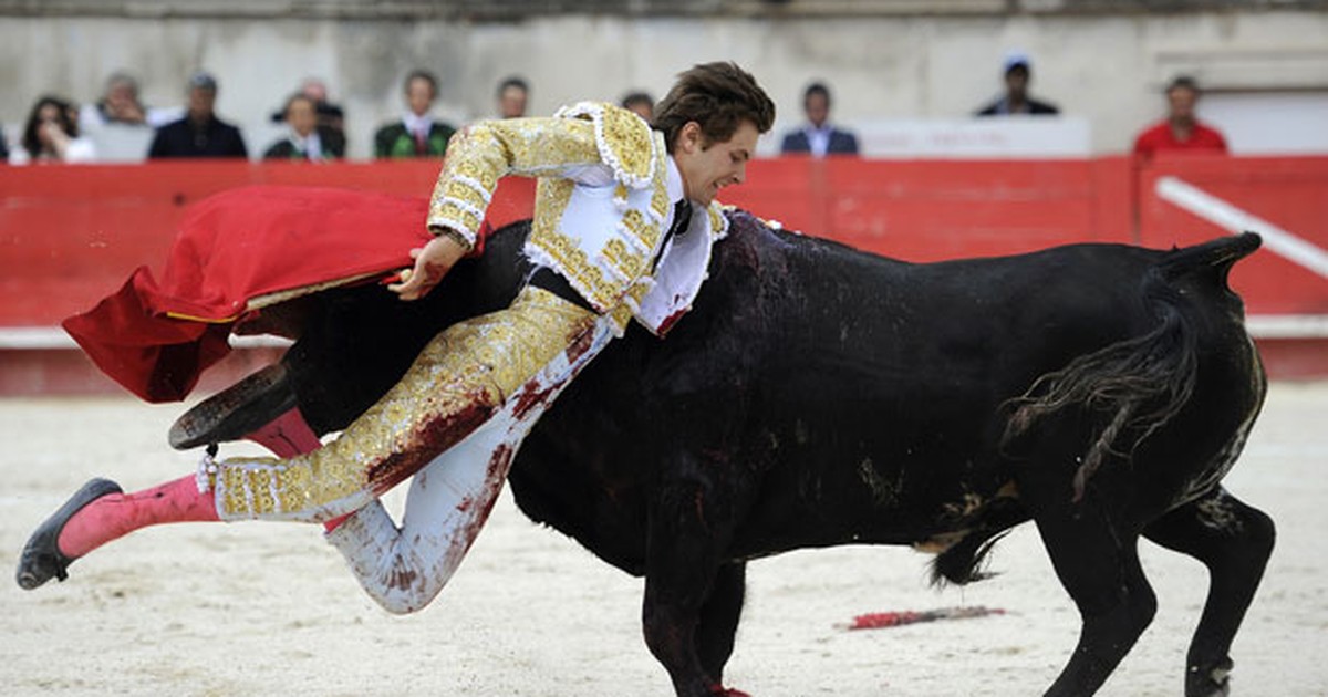 G1 Toureiro Francês Fica Ferido Ao Ser Chifrado Por Touro Notícias Em Mundo 