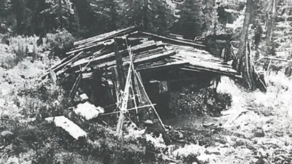 Geólogos descreveram o interior da cabana de madeira e sem janelas onde os Lykov moravam como 'medieval'  (Foto: Wikicommons)