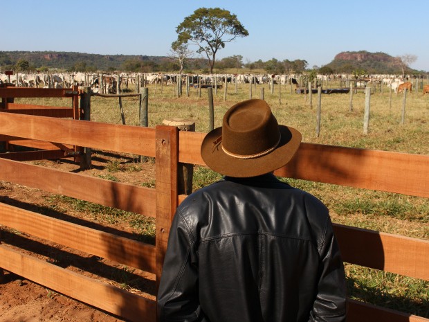 Com prêmio da loteria, idoso ele diz que comprou a terra dos sonhos e cabeças de gado (Foto: Gabriela Pavão/ G1 MS)