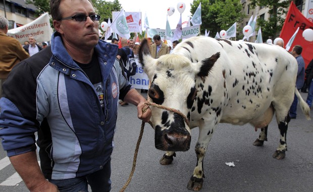 Agricultor leva gado a protesto neste domingo (23) na França (Foto: Reuters/Gonzalo Fuentes)