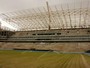 Gramado da Arena Corinthians começa a ganhar forma