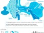 Usar protetor no ouvido ao se expor a barulho reduz risco de dano à audição