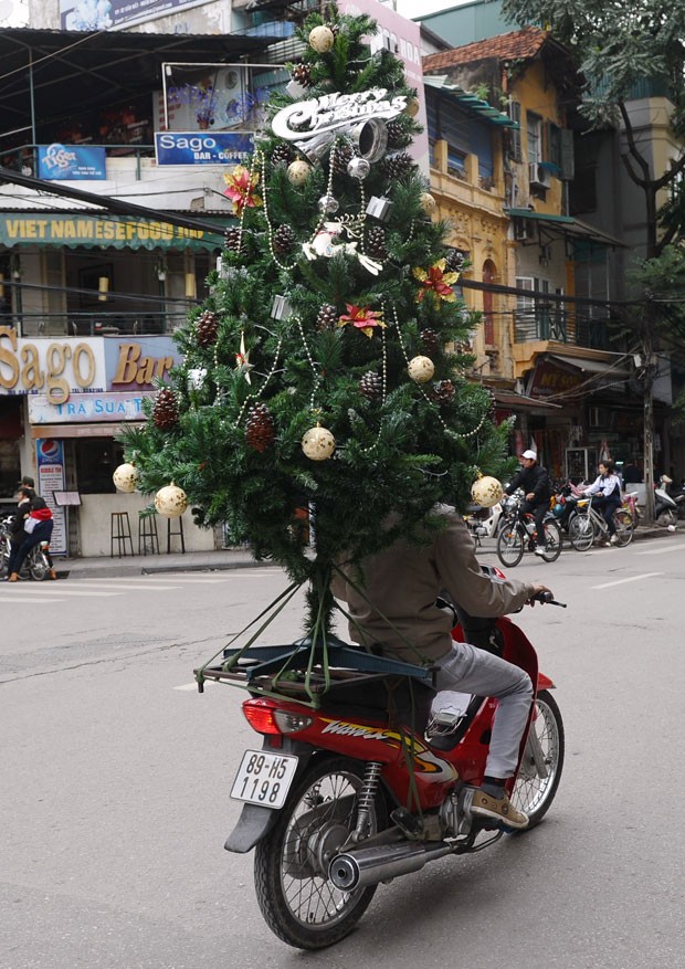 Entregador transportou árvore de Natal em moto no Vietnã. (Foto: Hoang Dinh Nam/AFP )