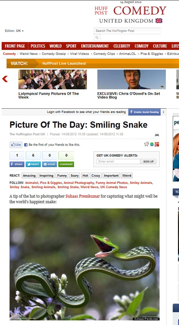 Fotógrafo Suhaas Premkumar capturou a imagem de uma cobra que parece estar sorrindo. (Foto: Reprodução)