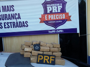Quase 13 quilos de maconha foram apreendidos em bagagem de mulher que entregaria droga e Ji-Paraná (Foto: Dennis Weber/G1)
