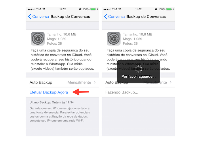 Realizando backup manualmente no WhatsApp para iPhone (Foto: Reprodução/Marvin Costa)