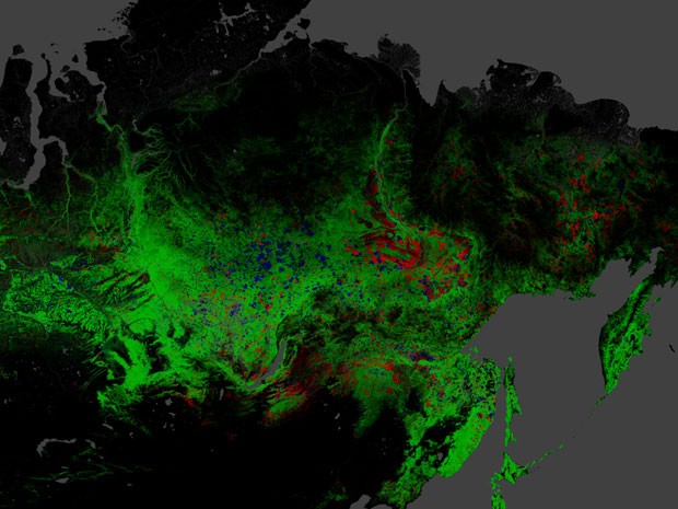 Verde representa a extensão florestal; vermelho, a perda de mata entre 200 e 2012; azul, o ganho no mesmo perído; rosa, a porção de floresta que foi desmatada e recuperada (Foto: Hansen, Potapov, Moore, Hancher et al., 2013)