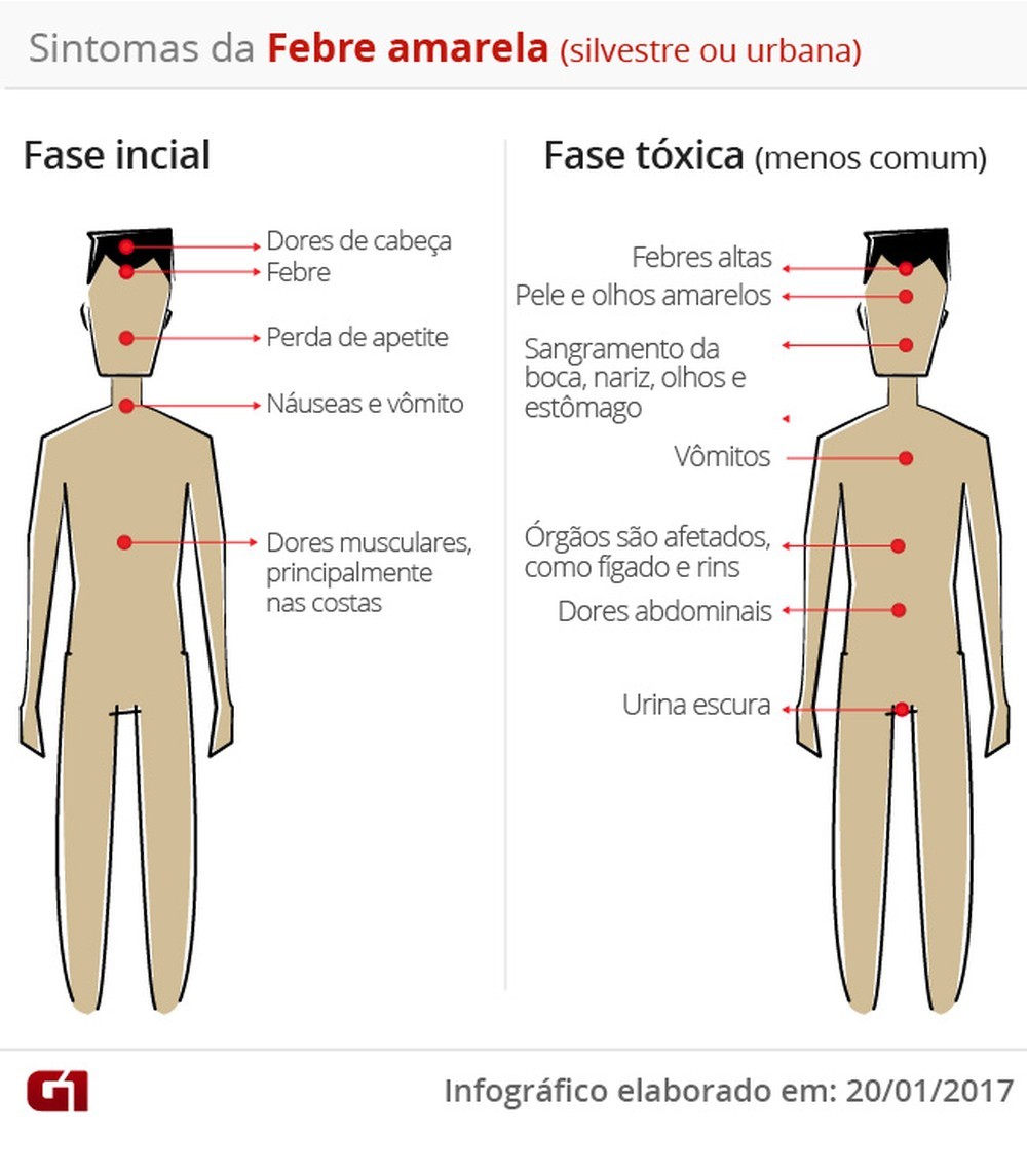 G M Dico Do Es Tira D Vidas Sobre A Febre Amarela Veja Onde Se