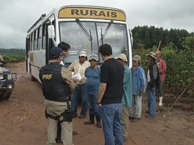 Em Garça faltam banheiros e parte dos equipamentos de proteção individual dos trabalhadores da roça (Foto: Reprodução TV TEM)
