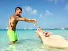Bruno Gagliasso dá comida para porcos no mar cristalino das Bahamas