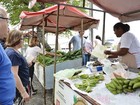 ‘Feira da Agricultura Familiar’ acontece nesta sexta-feira