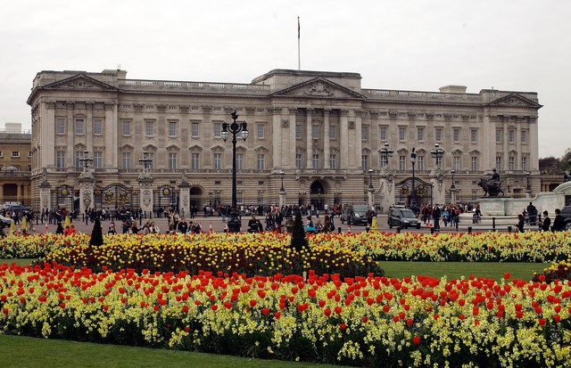 LONDON, ENGLAND - APRIL 15:  Blossom and spring flowers bloom in front of Buckingham Palace before the Royal Wedding on April 15, 2011 in London, England. Stands, media facilities and temporary fencing are being erected along the route the couple will tra (Foto: Getty Images)