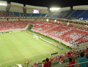 Mosaico torcida América-RN x Fluminense (Foto: Klênyo Galvão)