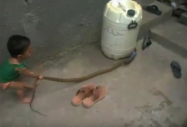 Criança foi filmada brincando com cobra enorme (Foto: Reprodução/YouTube/Dmax) Criança foi filmada brincando com cobra enorme (Foto: Reprodução/YouTube/Dmax)