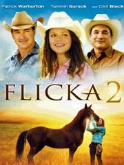 Flicka 2