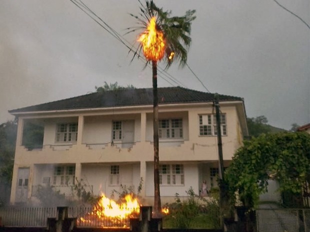 Árvore pega fogo após ser atingida por um raio em Bananal, SP (Foto: Tiquinho/ Arquivo Pessoal)