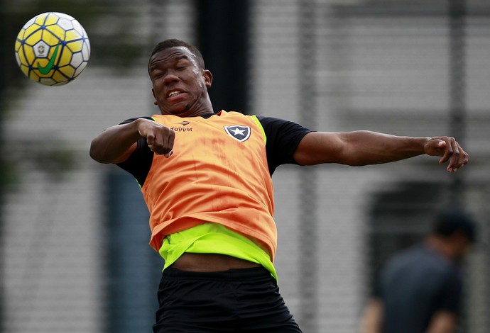 Ribamar, Botafogo (Foto: Vitor Silva/SSPress/Botafogo)