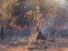 Incêndio florestal consome área de 2,5 mil campos de futebol no Tocantins