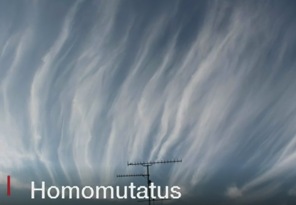 Esta é primeira edição digital para acesso do publico (Foto: Reprodução/BBC)