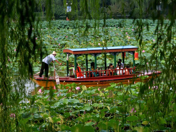 Passeio de barco no meio de plantas aquáticas em parque de Pequim (Foto: AP Photo/Andy Wong)