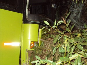 Condutor do ônibus não se feriu (Foto: PMRv/Divulgação)