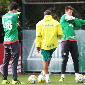 Vagner Vinicius Palmeiras (Foto: Cesar Greco/Ag. Palmeiras/Divulgação)