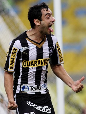 daniel Botafogo x Criciuma (Foto: Vitor Silva / SSPress)