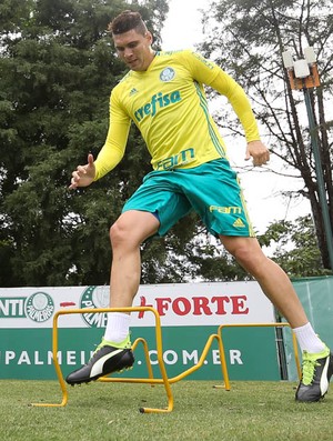 Moisés Palmeiras (Foto: Cesar Greco / Ag. Palmeiras)
