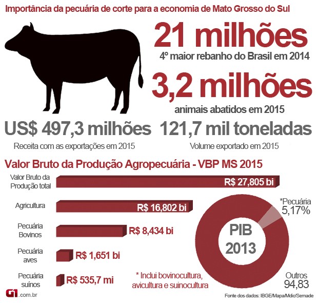 Infográfico sobre a importância da pecuária bovina para a economia de Mato Grosso do Sul (Foto: Anderson Viegas/Do G1 MS)