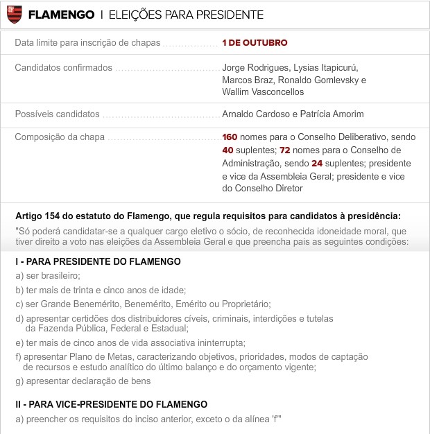 Info Eleicoes FLA 3 (Foto: infoesporte)