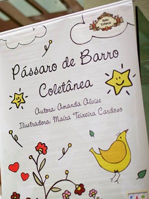 Campanha publicação de livro de escritora de Poços de Caldas durou 60 dias e arrecadou pouco mais de R$ 7 mil  (Foto: Ricardo Pereira)