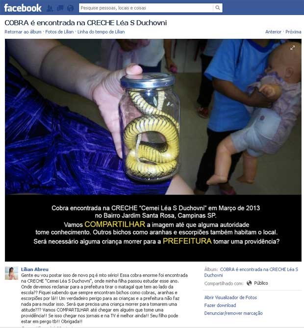 Mãe descobriu que cobra invadiu creche ao ver postagem de professora em rede social (Foto: Reprodução Facebook)