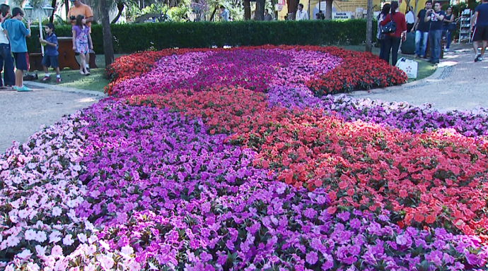 O jardins floridos encantam os visitantes com cores e aromas de tirar o fôlego (Foto: reprodução EPTV)
