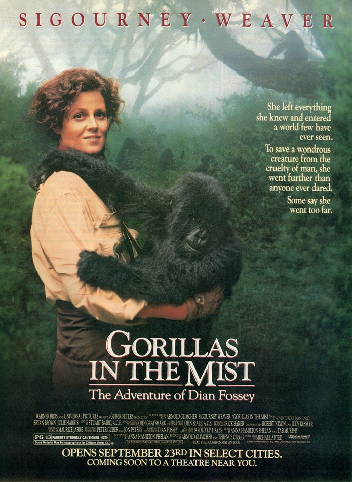 Cartaz do filme Gorillas in the mist (Foto: Divulgação/Pantip)