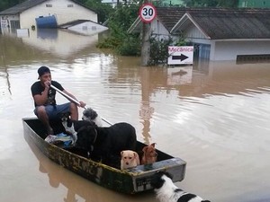 Com ruas alagadas, morador de Rio do Sul resgatou cães  (Foto: Bruna Valle/Divulgação)