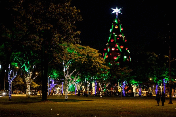 17-12-2014 - Árvore e decoração de natal no parque Ibirapuera, em São Paulo (Foto: Marcelo Brandt/G1)