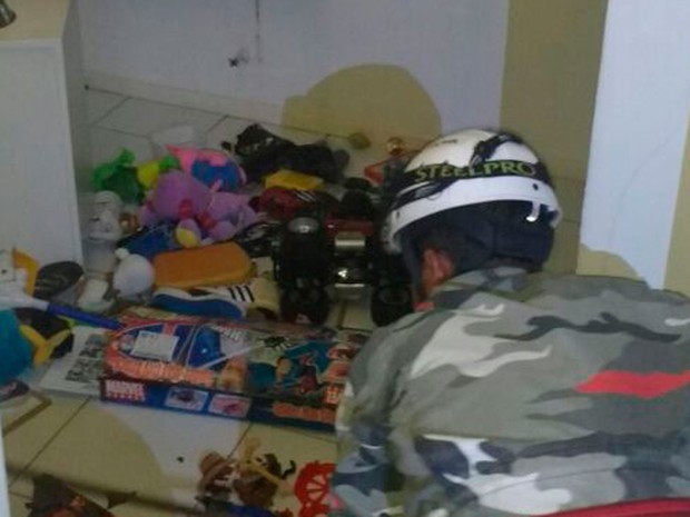 Cobra foi encontrado entre brinquedos de residência (Foto: AL.BV.Muller / Arquivo Pessoal)