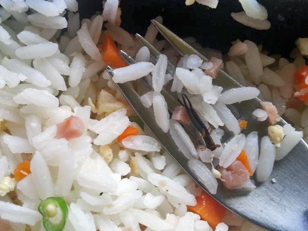 Inseto foi achado morto no meio de arroz colorido (Foto: Isis Albuquerque)