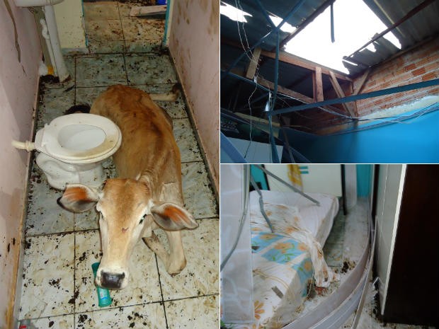 Animal destruiu o banheiro e móveis do quarto (Foto: Arquivo pessoal)