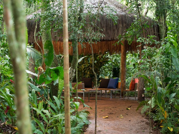 Espaços foram construídos em meio a clareiras na selva; segundo a direção, não foram derrubadas árvores, apenas ocupados os ambientes disponíveis (Foto: Parque das Aves / Divulgação)