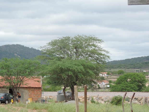 Sítio Pitombeira, em Custódia, fica a poucos metros dos trilhos da Transnordestina. (Foto: Katherine Coutinho/G1)