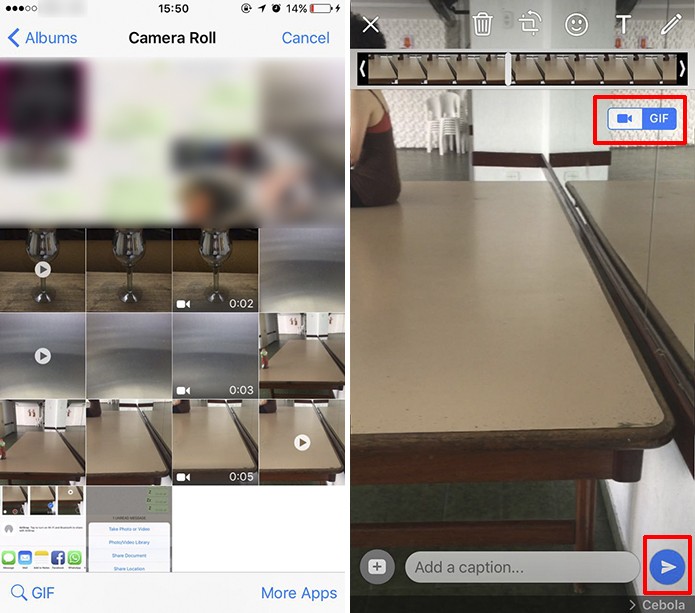 WhatsApp para iPhone mostra botão para converter vídeo para GIF (Foto: Reprodução/Elson de Souza)